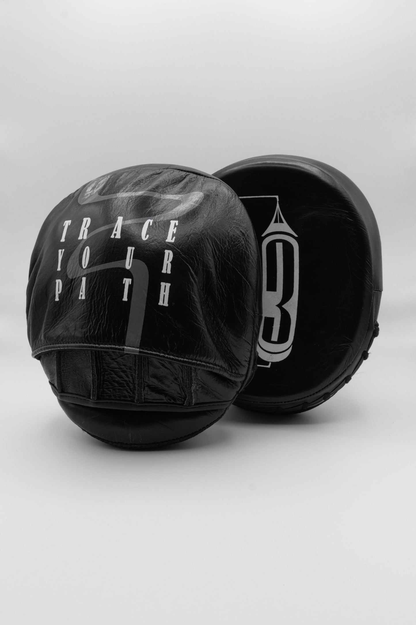 Traze Boxing Focus Mitts