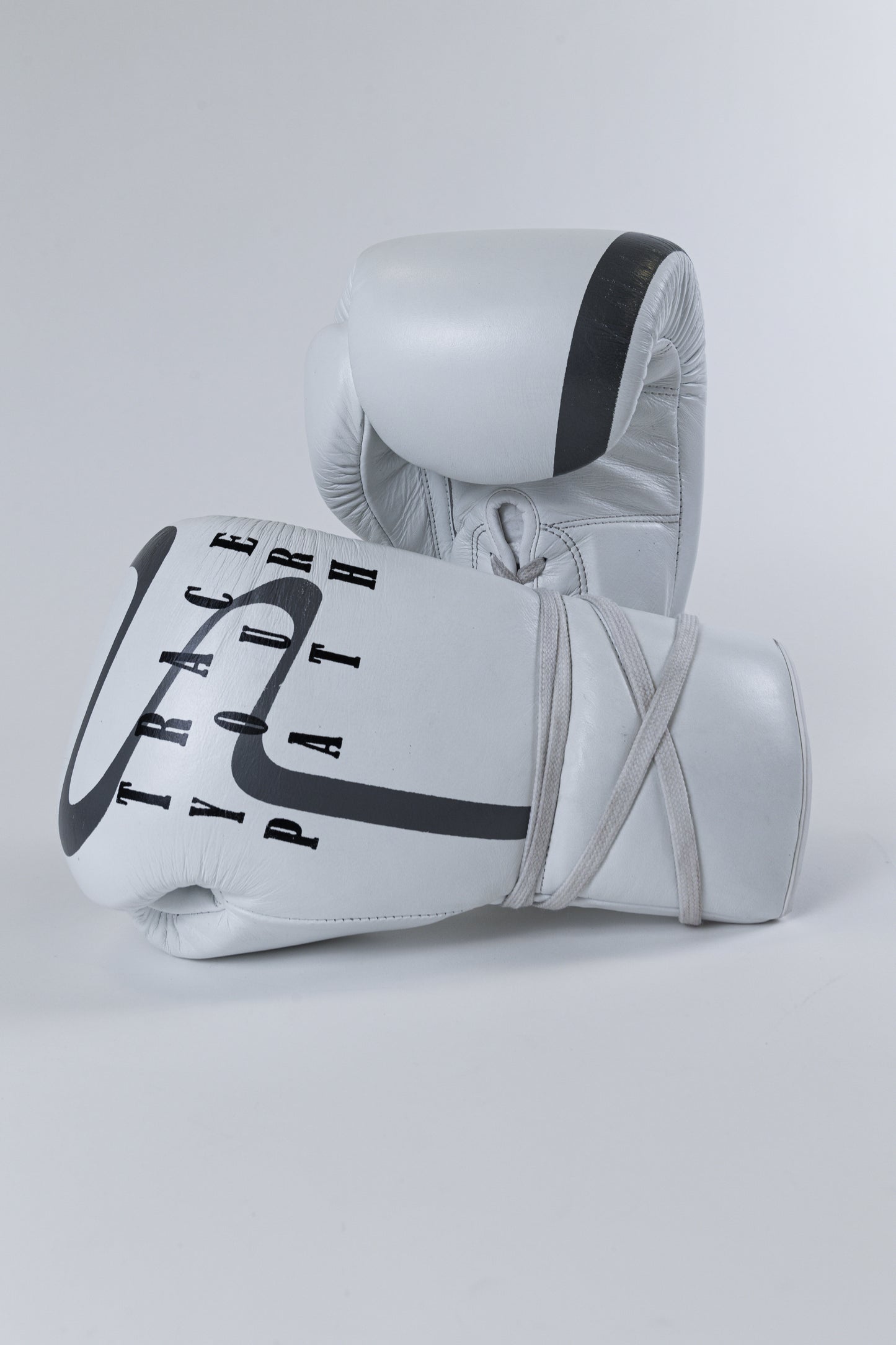 Path Tracer Sparring Gloves
