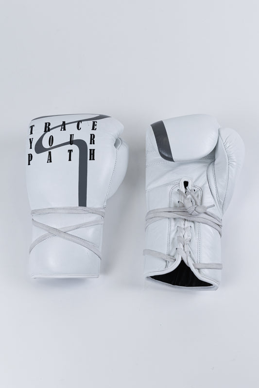 Path Tracer Sparring Gloves